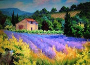 lavendar fields.jpg